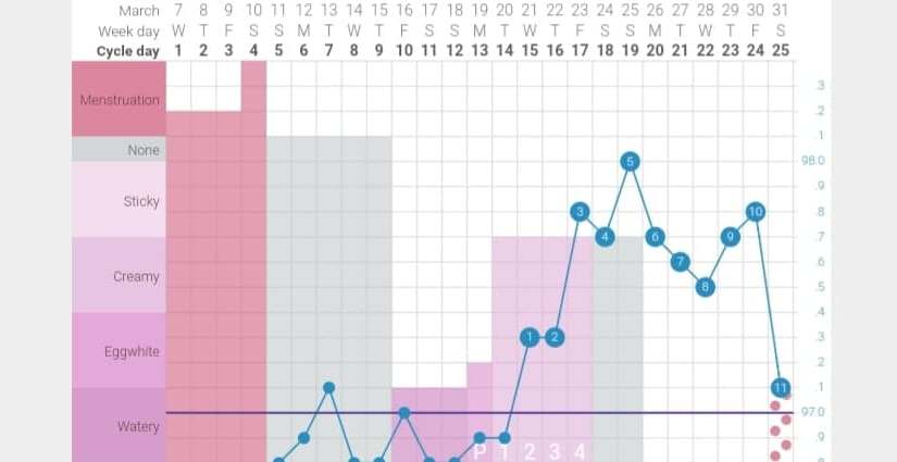 Now Opening Enrollment For December 2019 Fertility Awareness&nbsp;Course
