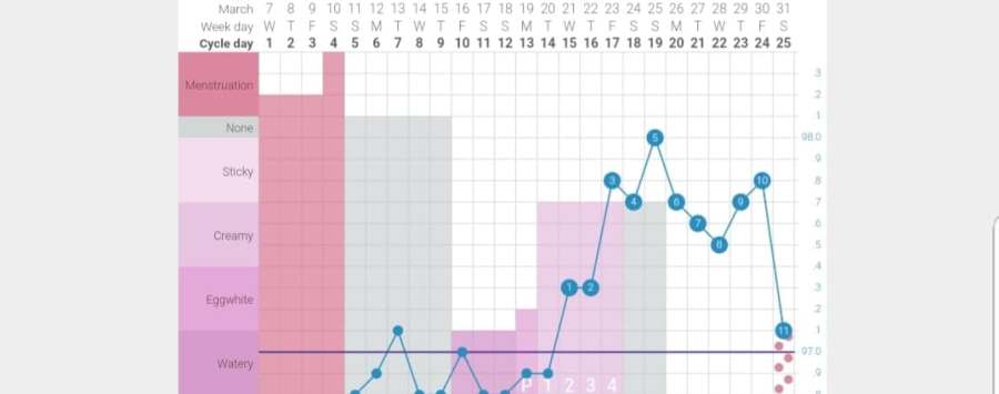 A symptothermal method chart