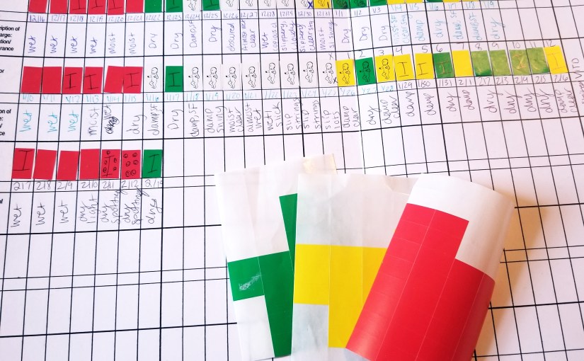 My Experience Becoming a Certified Billings Ovulation Method&nbsp;Teacher