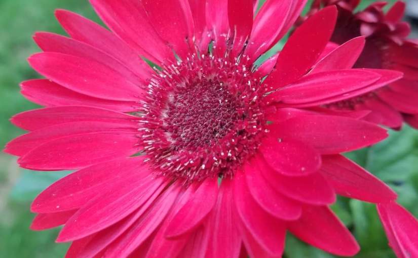 No dry days? You may qualify for a basic infertile&nbsp;pattern!