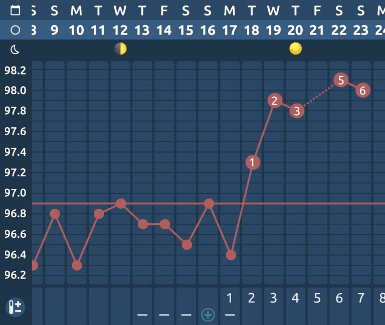 An Honest Review of Oura Ring for Charting Temperature and Cycle